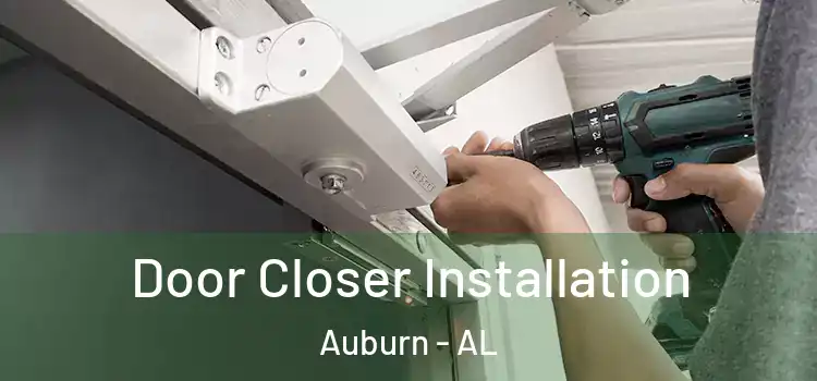 Door Closer Installation Auburn - AL