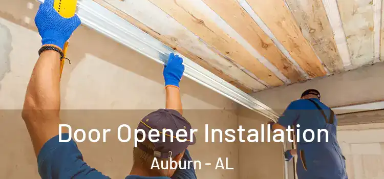  Door Opener Installation Auburn - AL