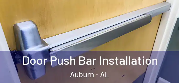  Door Push Bar Installation Auburn - AL