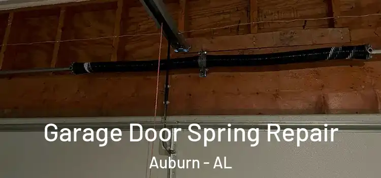  Garage Door Spring Repair Auburn - AL