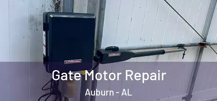 Gate Motor Repair Auburn - AL